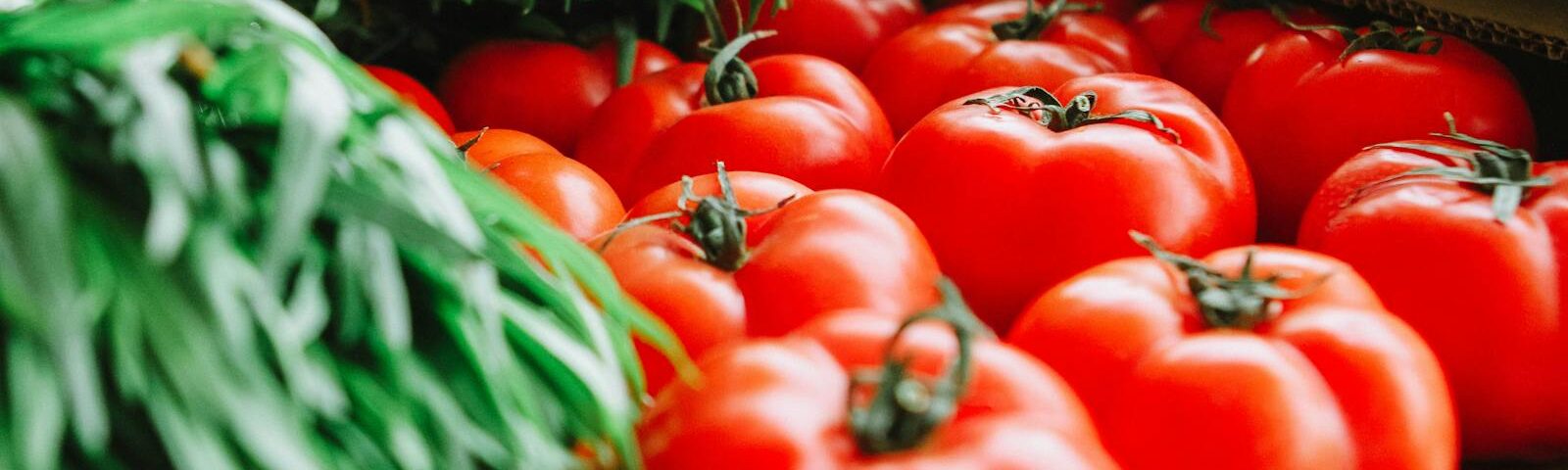 Vibrant red tomatoes and fresh greens displayed at a London farmer's market, showcasing organic produce.