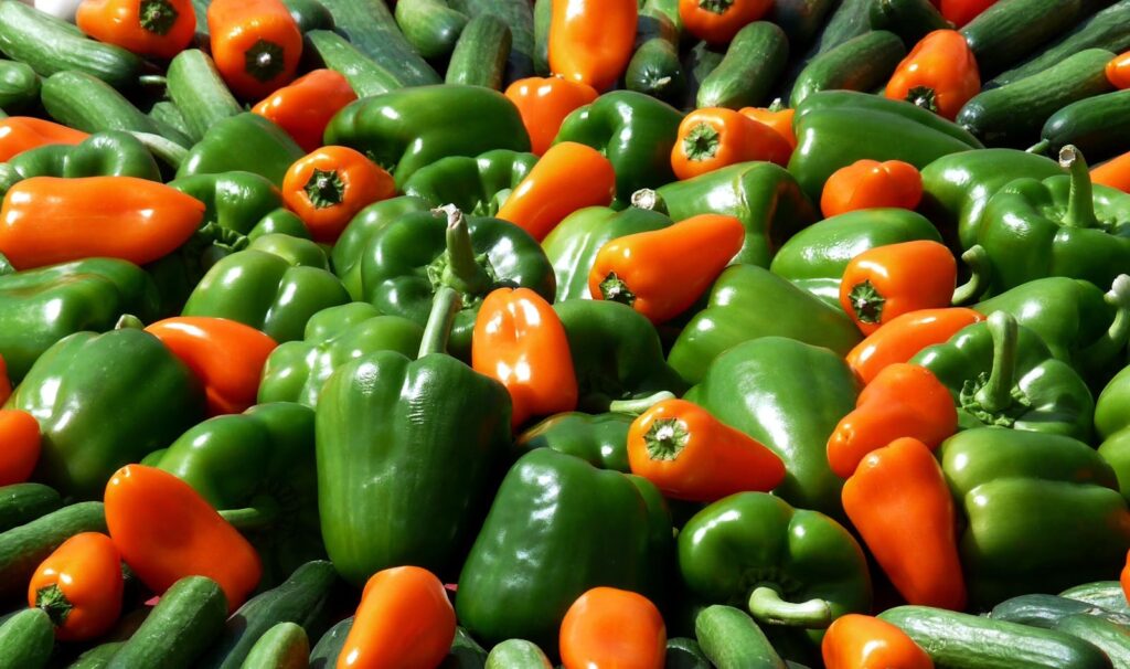 Fresh green and orange peppers with cucumbers in a colorful display of fresh produce.