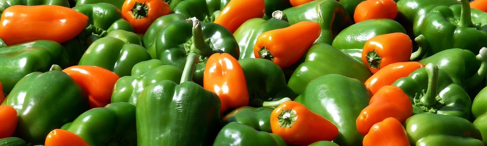 Fresh green and orange peppers with cucumbers in a colorful display of fresh produce.