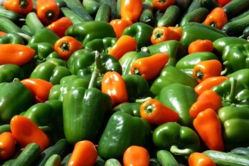 Fresh green and orange peppers with cucumbers in a colorful display of fresh produce.