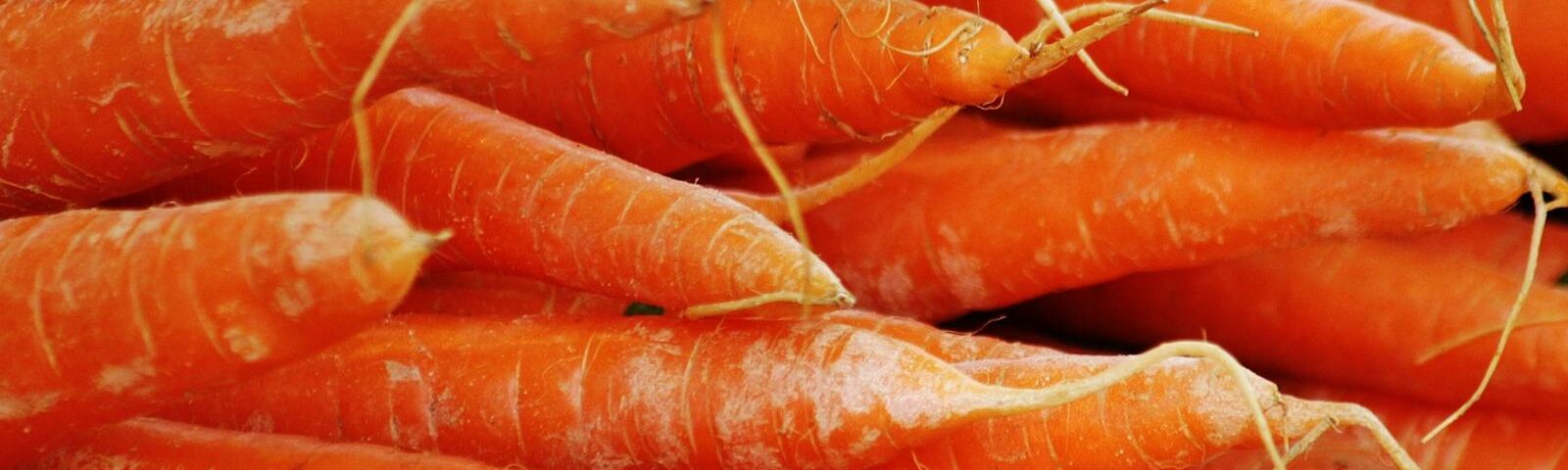 Vibrant close-up of fresh orange carrots, perfect for healthy organic cooking inspiration.