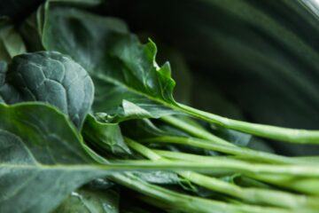 Vibrant close-up of fresh organic collard greens showcasing natural texture and color.